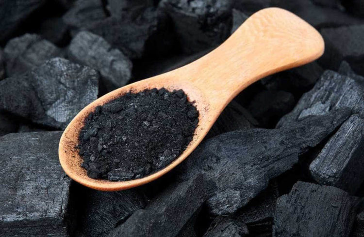 Lire la suite à propos de l’article Le charbon végétal ACTIVE
