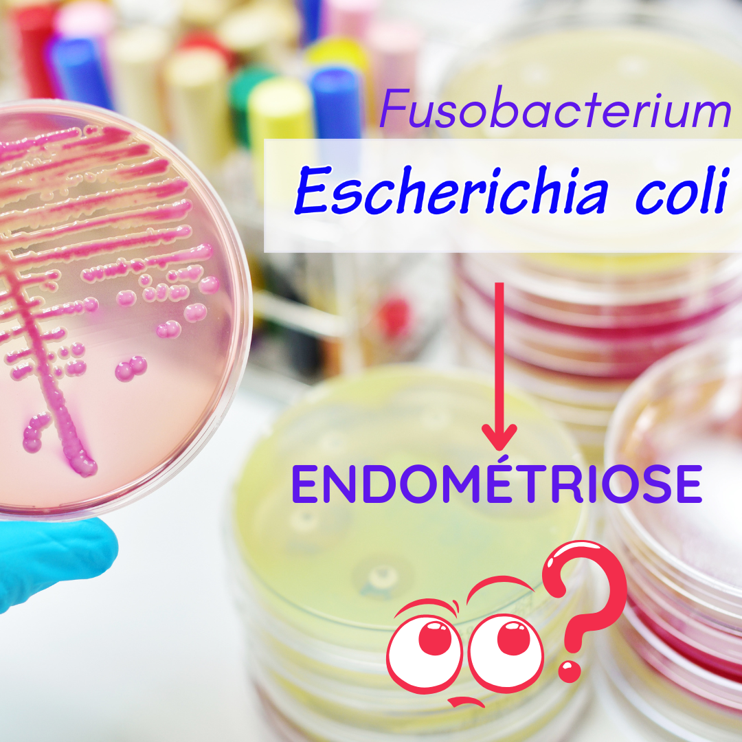 You are currently viewing Bactérie Gram négatif vs Endométriose
